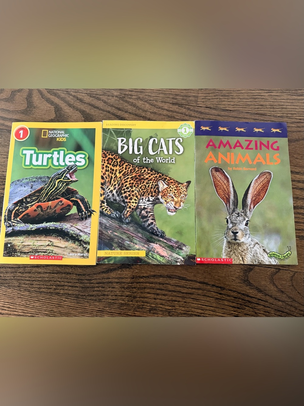 National Geographic Kids Reading Discovery Books